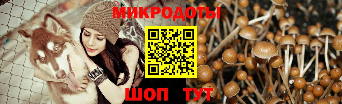 Псилоцибиновые грибы мицелий  Вход с VPN  Тихорецк 